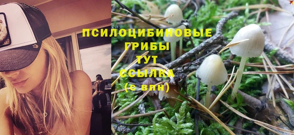 не бодяженный Краснослободск