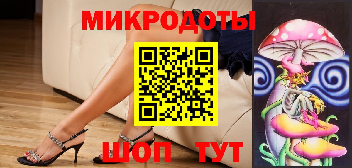 Псилоцибиновые грибы Psilocybe Малгобек