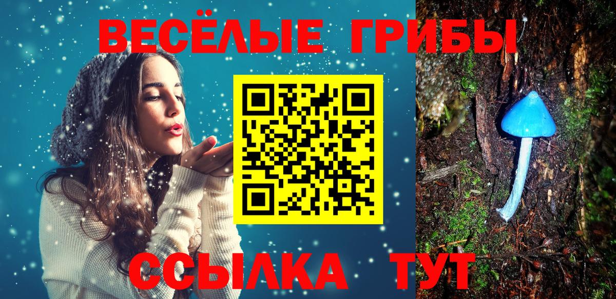 Малгобек  Псилоцибиновые грибы Magic Shrooms  Галлюциногенные грибы MAGIC MUSHROOMS  сколько стоит  Вход с VPN 
